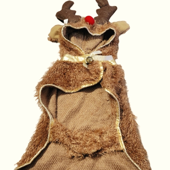 Other - Rudolph the Reindeer Dog Costume